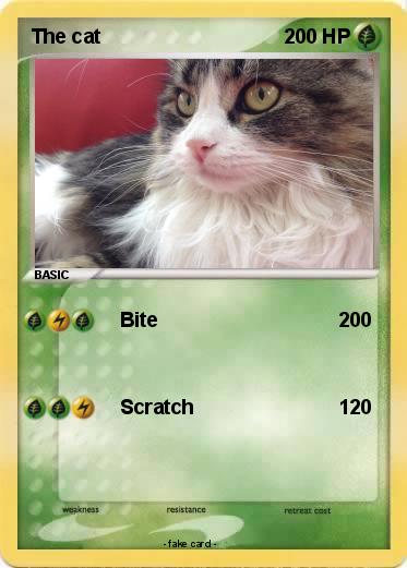 Pokemon The cat