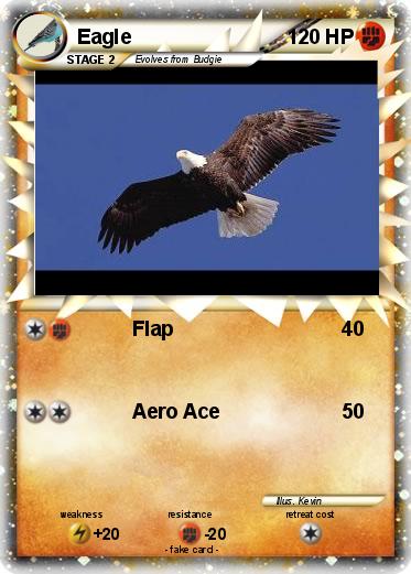 Pokemon Eagle
