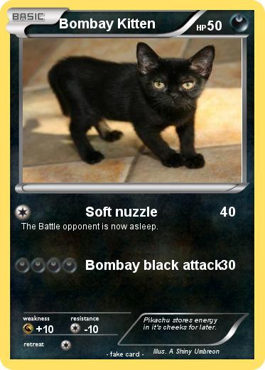 Pokemon Bombay Kitten