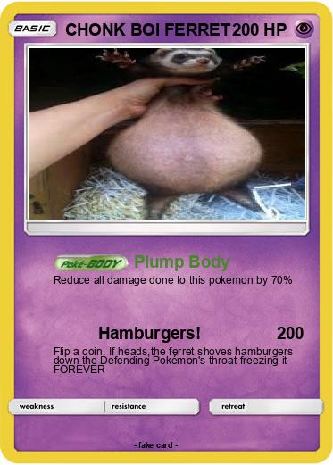 Pokemon CHONK BOI FERRET