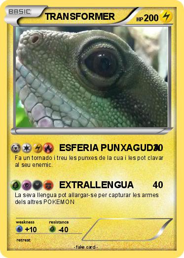 Pokemon TRANSFORMER