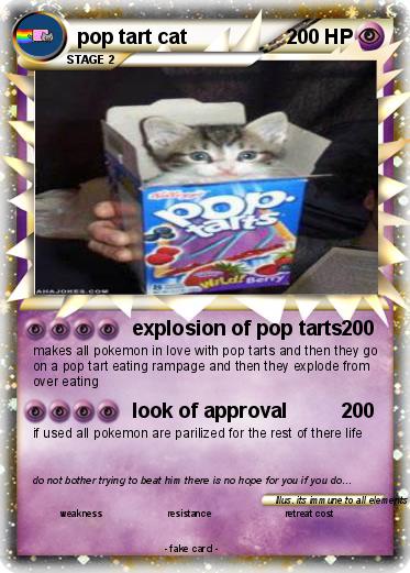 Pokemon pop tart cat