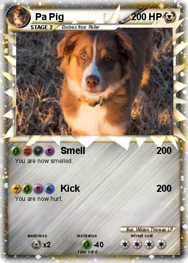 Pokemon Pa Pig