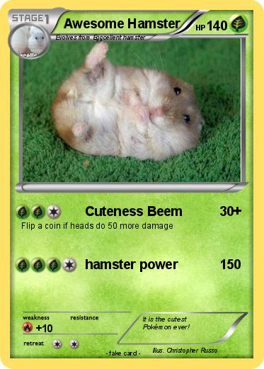 Pokemon Awesome Hamster