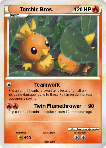 Pokemon Torchic Bros.
