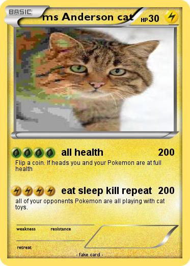 Pokemon ms Anderson cat