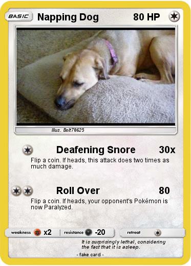 Pokemon Napping Dog