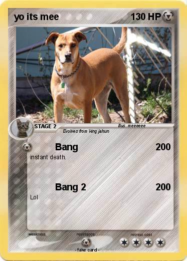 Pokemon yo its mee
