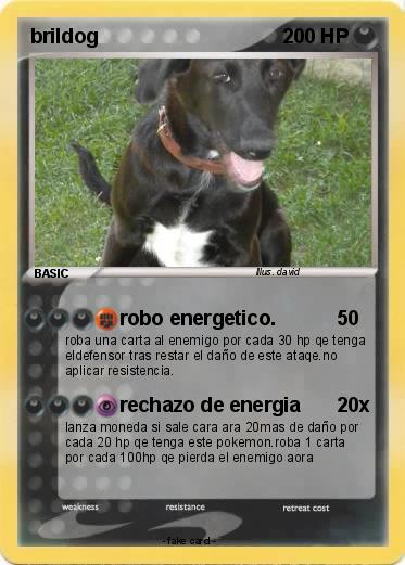Pokemon brildog