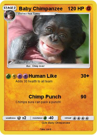 Pokemon Baby Chimpanzee
