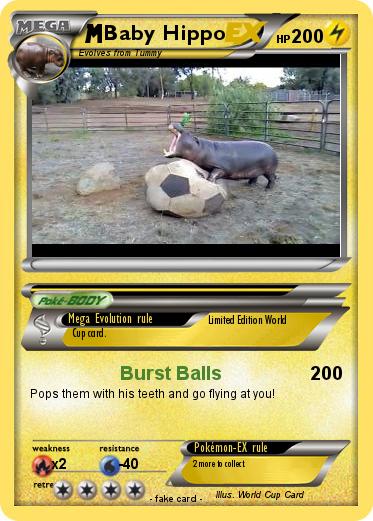 Pokemon Baby Hippo