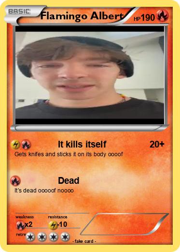 Pokemon Flamingo Albert