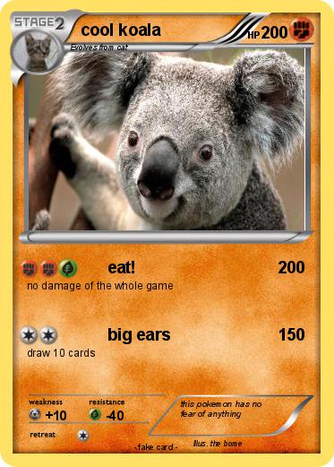 Pokemon cool koala