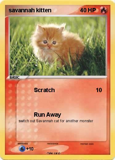 Pokemon savannah kitten
