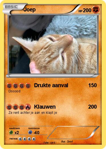 Pokemon Joep