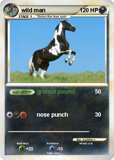 Pokemon wild man