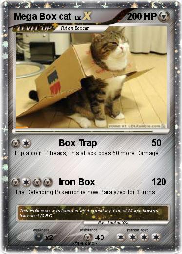 Pokemon Mega Box cat