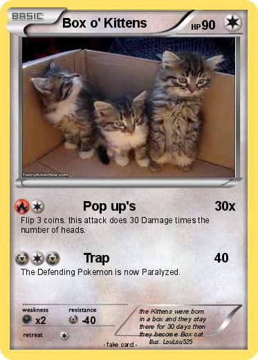 Pokemon Box o' Kittens