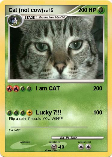 Pokemon Cat (not cow)