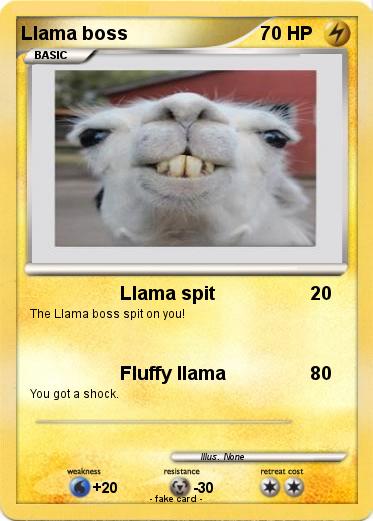 Pokemon Llama boss