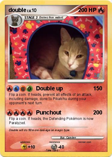 Pokemon double