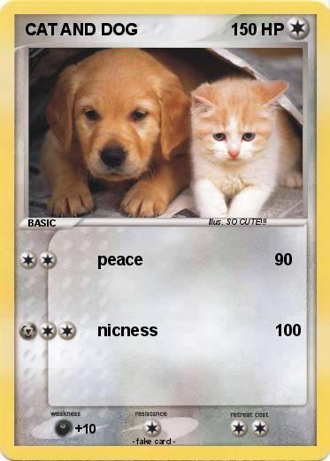 Pokemon CAT AND DOG