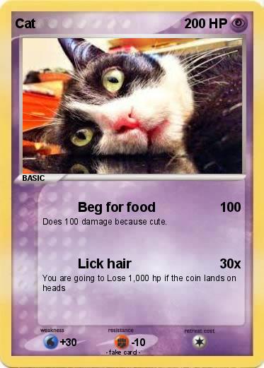 Pokemon Cat