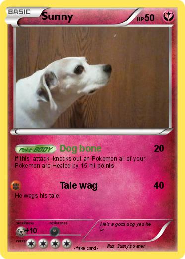 Pokemon Sunny