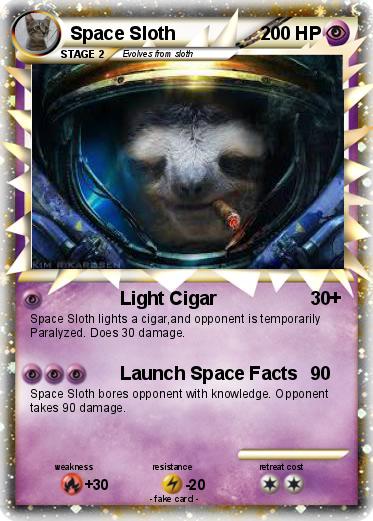 Pokemon Space Sloth