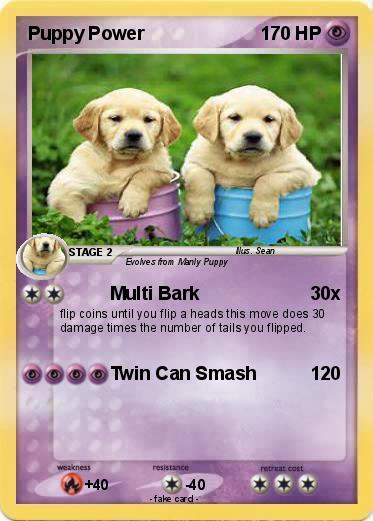 Pokemon Puppy Power