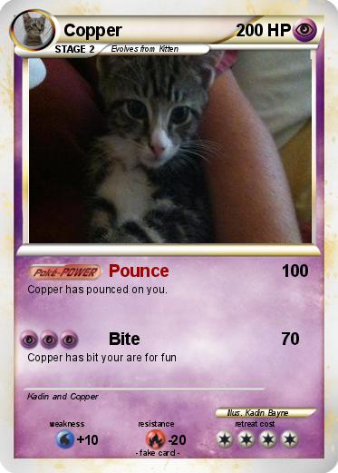 Pokemon Copper