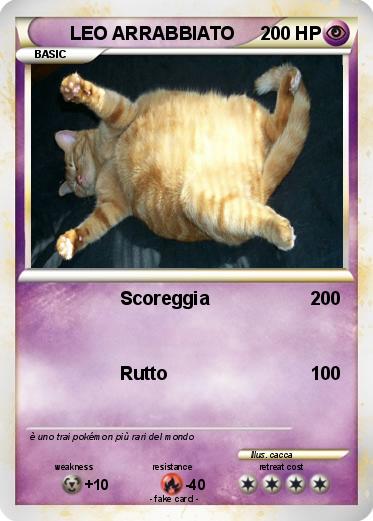 Pokemon LEO ARRABBIATO