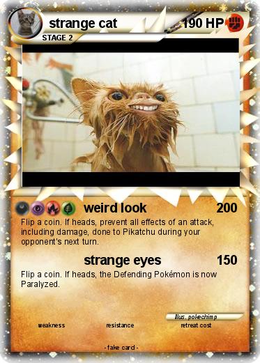 Pokemon strange cat