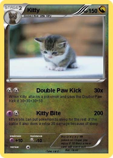 Pokemon Kitty