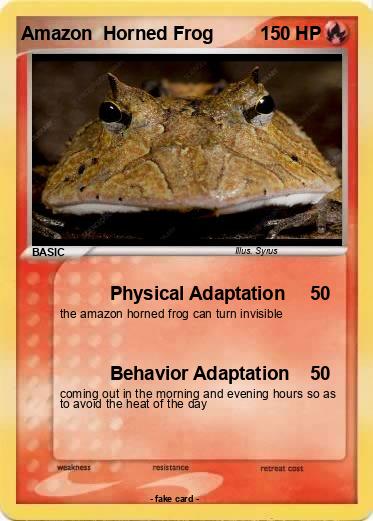 Pokemon Amazon  Horned Frog