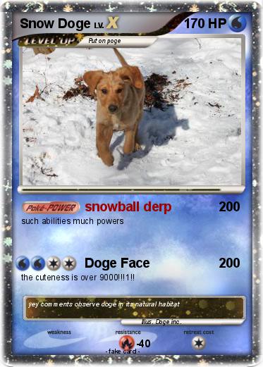 Pokemon Snow Doge
