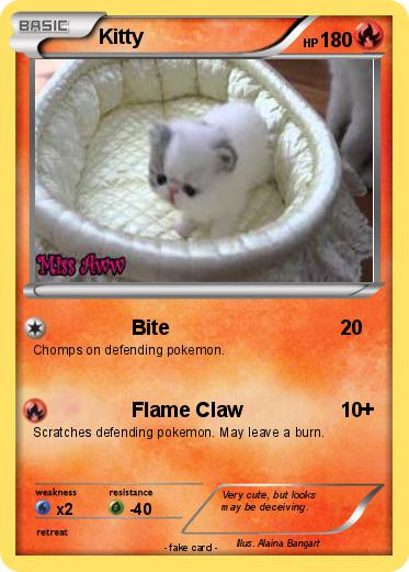Pokemon Kitty
