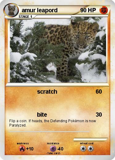 Pokemon amur leapord