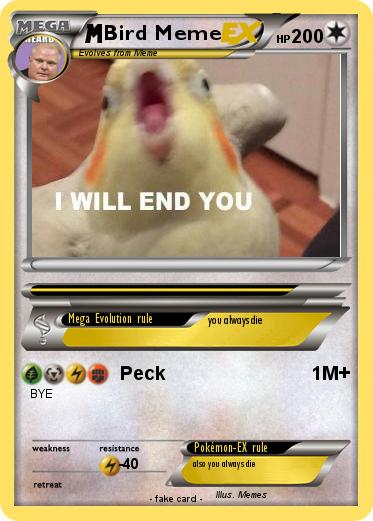 Pokemon Bird Meme