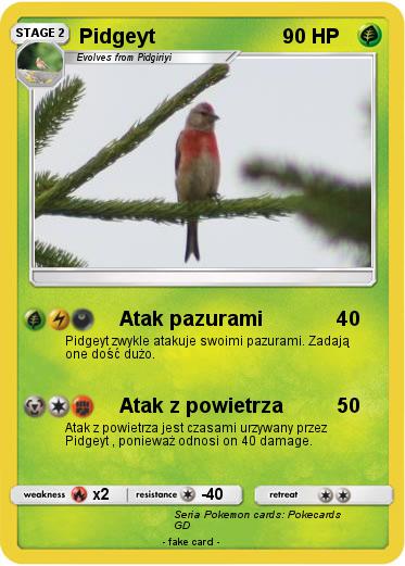 Pokemon Pidgeyt