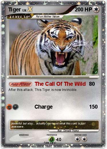 Pokemon Tiger