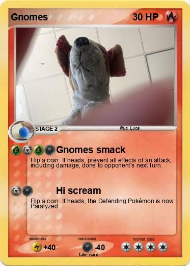 Pokemon Gnomes
