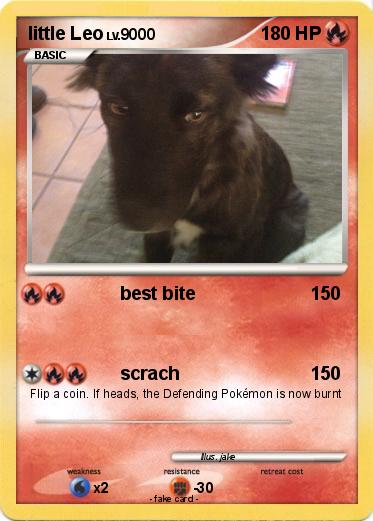 Pokemon little Leo