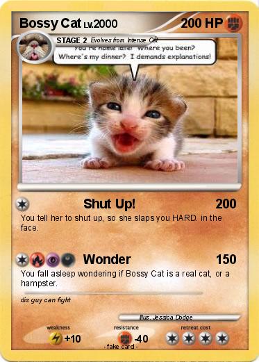 Pokemon Bossy Cat