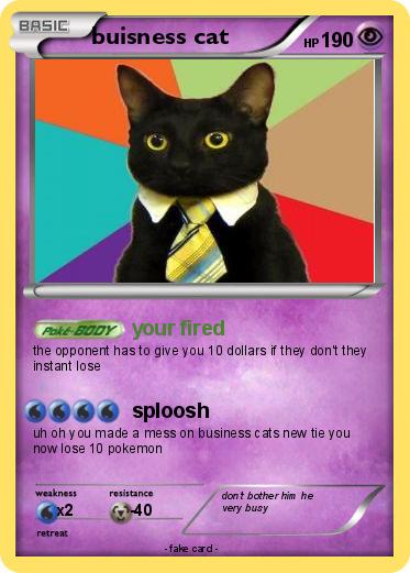 Pokemon buisness cat