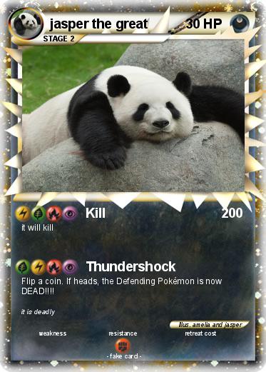 Pokemon jasper the great
