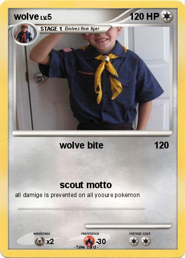 Pokemon wolve