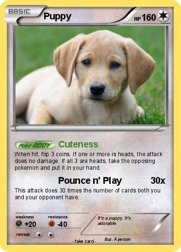 Pokemon Puppy