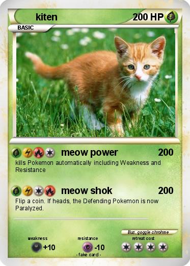 Pokemon kiten