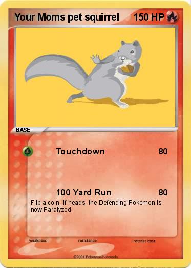 Pokemon Your Moms pet squirrel